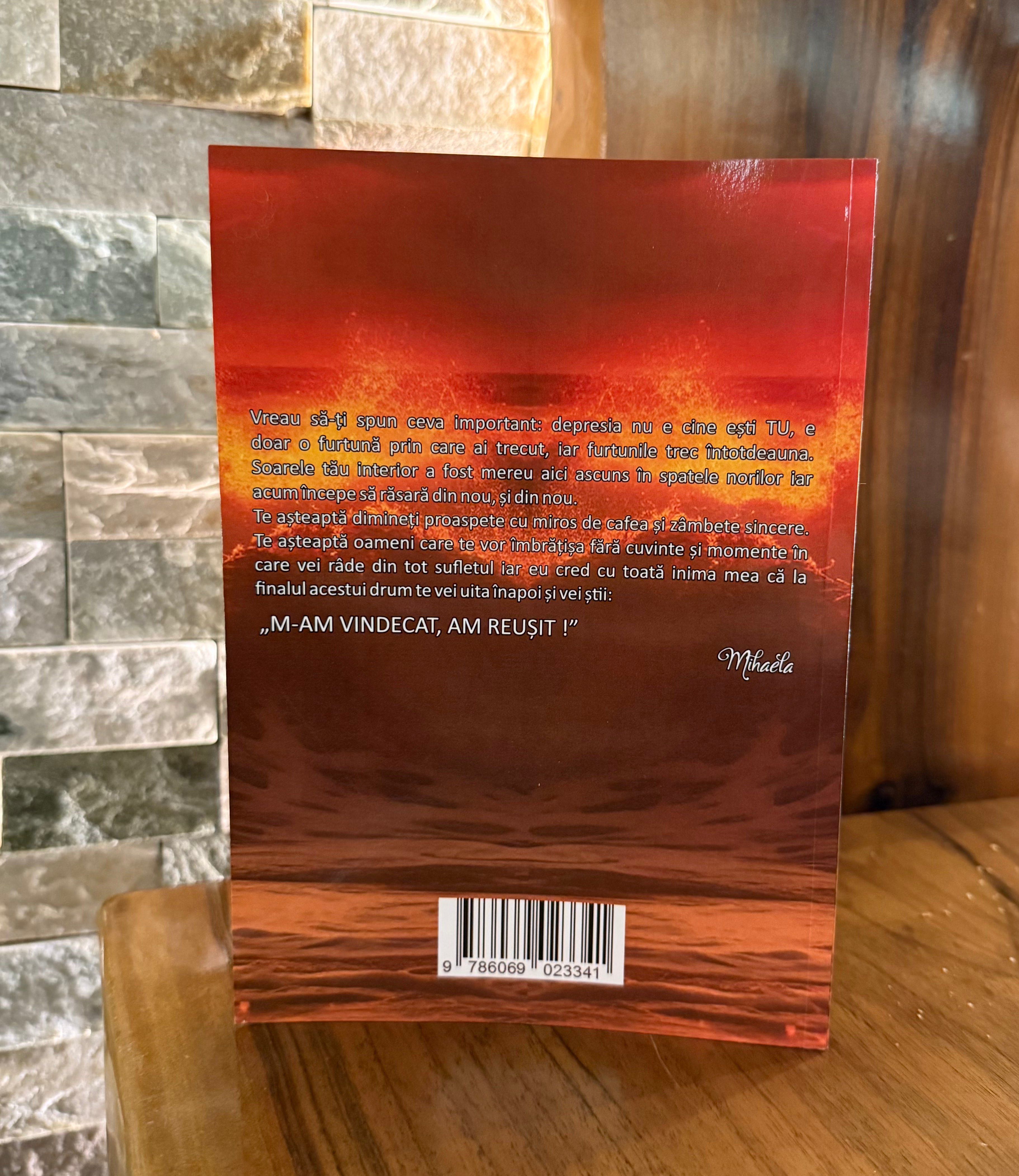 Bye Bye, Depresie (Un ghid pentru recâștigarea bunăstării emoționale)